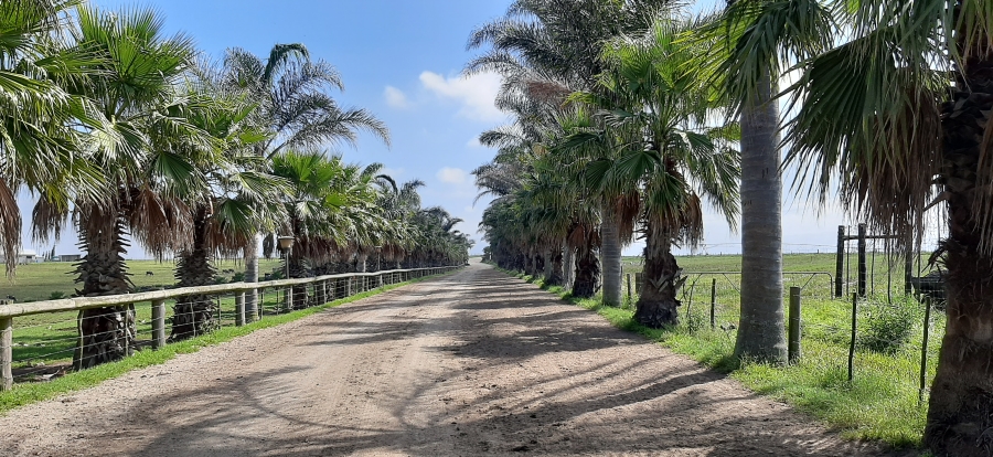 Commercial Property for Sale in Geelhoutboom AH Western Cape